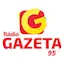 Logo Gazeta FM 95.3