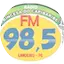 Logo Rádio Princesa do Capibaribe FM