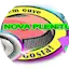Logo Rádio Nova Plenitude Web