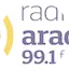 Logo Radio Arad 99.1 FM