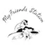 Logo MyFriends Station