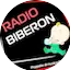 Logo Radio Biberon