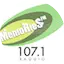 Logo MemoRies DZLL-FM 107.1