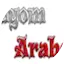 Logo Radyom Arabesk