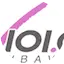 Logo V 101.9 FM