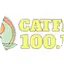 Logo Catfish Country 100.1 FM