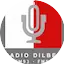 Logo Radio Dilber Swabi