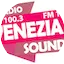 Logo Radio Venezia Sound