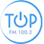Logo FM TOP 100.3