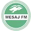 Logo Mesaj FM