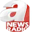 Logo A Haber Radyo News