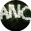 Logo Miled Music Dance