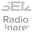 Logo Radio Linares