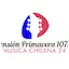 Logo Dimensión Primavera FM