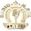 Logo H. Sul FM