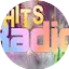 Logo 113.FM Hits 1991