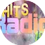 Logo 113.FM Hits 1993