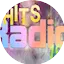 Logo 113.FM Hits 1994