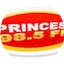 Logo Rádio Princesa
