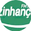 Logo Vizi FM