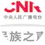 Logo CNR National Voice