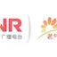 Logo CNR Old
