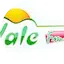 Logo Vale FM
