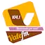 Logo Vale FM