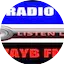 Logo RADIO VAYB FM