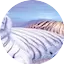 Logo TeddyRadio
