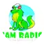 Sam Radio