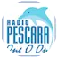 Logo Radio Pescara