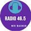 Logo Radio 46.5
