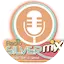Logo Radio Silver mix