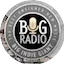 Logo Big Indie Giant Radio