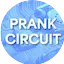 Logo Prank Circuit Radio