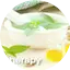 Logo Radio Art - Aromatherapy