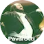 Logo Radio Art - Luciano Pavarotti