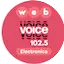 Logo Voice Electronica