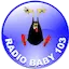 Logo Radio Baby 103