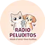 Logo KPOP Urban FM
