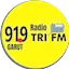 Logo Radio Tri FM