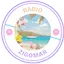 Logo Radio Zigomar