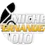 Logo Michel Fernandez Radio
