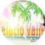Logo Palaciovallenato.Com