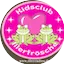 Logo Illertal FM - Kidsclub Illerfrösche