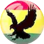 Logo GTOP Radio (Ghana Top Radio)