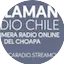 Logo Salamanca Radio Chile