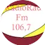 Logo Radio Raul FM