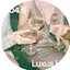 Logo 104.6 RTL Luxus Hits